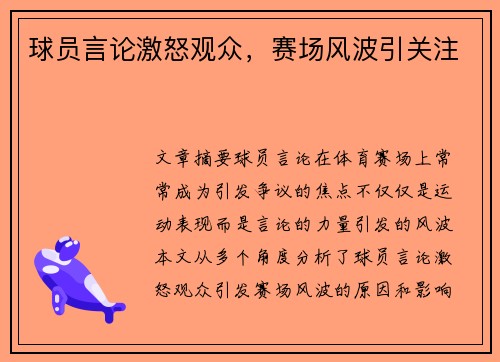 球员言论激怒观众，赛场风波引关注